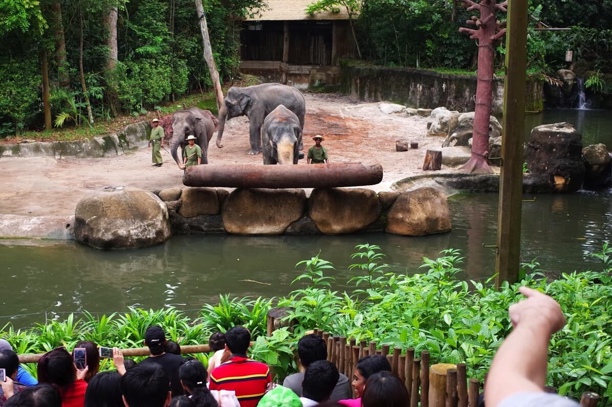 シンガポール動物園【徹底ガイド2024】混雑状況・行き方・滞在時間など