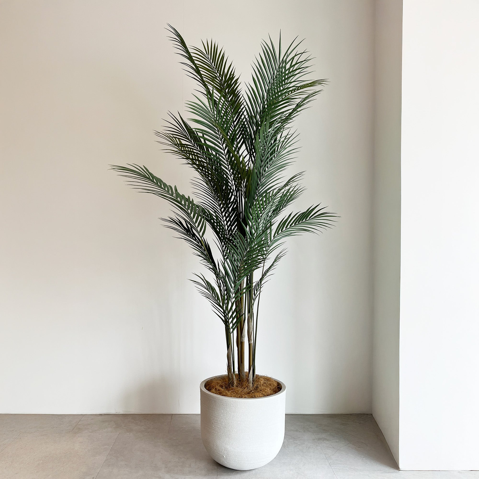 アレカヤシ 150cm- フェイクグリーン専用通販サイト – フェイク