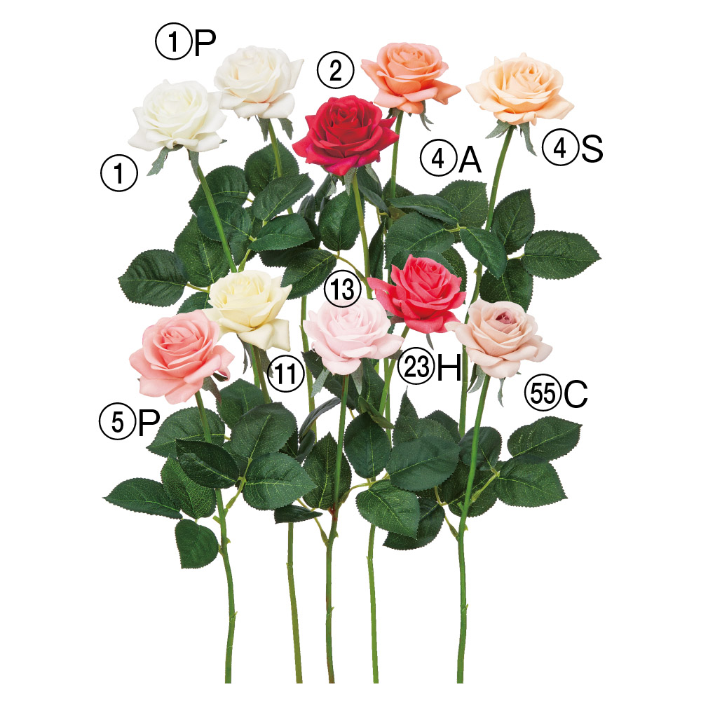 A-35164 ローズ | アン・デコールオンラインショップ｜アーティ