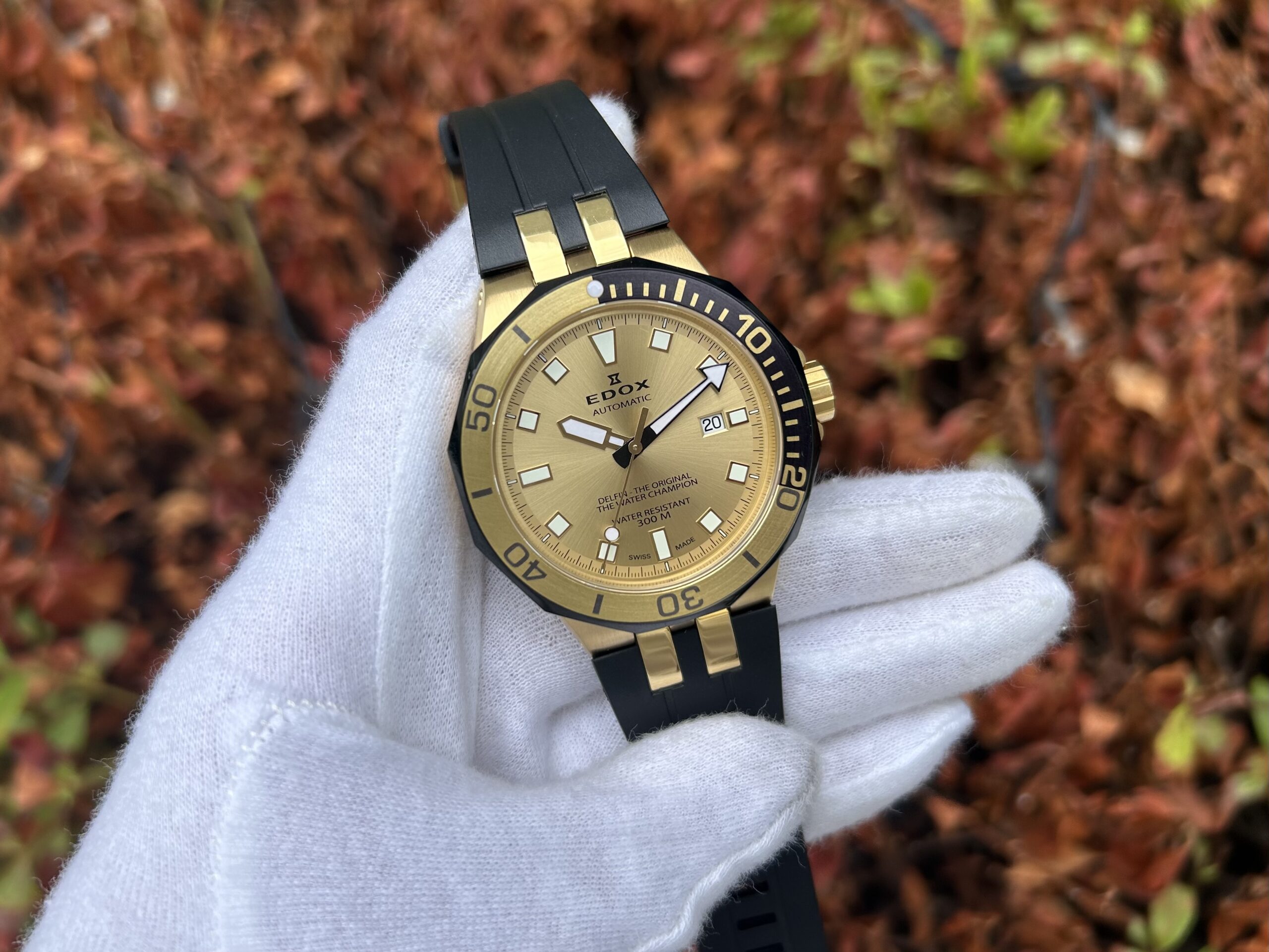 EDOX】DELFIN ゴールドPVDモデル｜300m防水×レア感あふれる名作