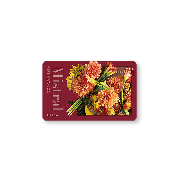 Mistral(ミストラル) e-order choice(カードカタログ) ＜Arnica-C