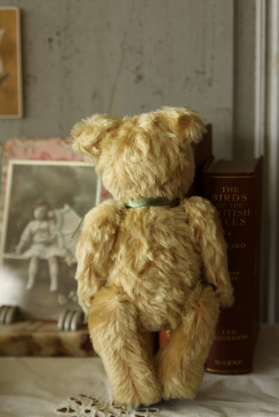 アンティークベア イギリス グラスアイ 20180718 【Antiques Truffle