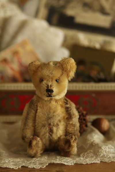 アンティークベア YES/NOベア schuco ドイツ 20180907 【Antiques