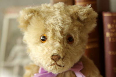 アンティークベア イギリス グラスアイ 20180718 【Antiques Truffle