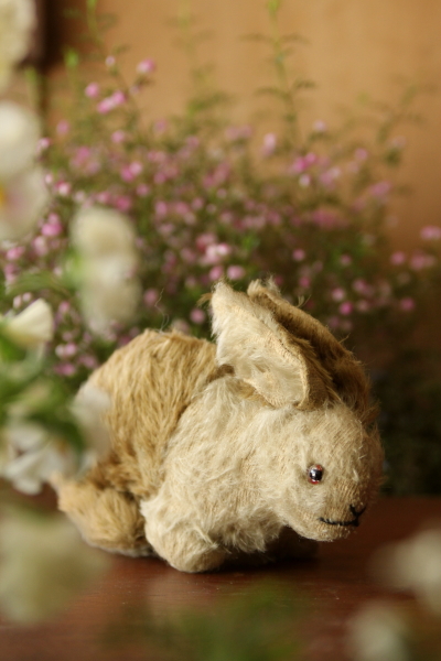 アンティークベア ミニチュアベア シュコ SCGUCO ピッコロ ドイツ