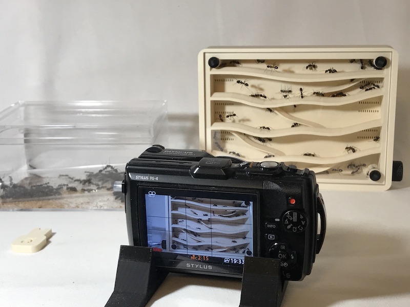 アリ飼育ケースの使用感レビュー！ ｜Large Hybrid Nest ハイブリッド