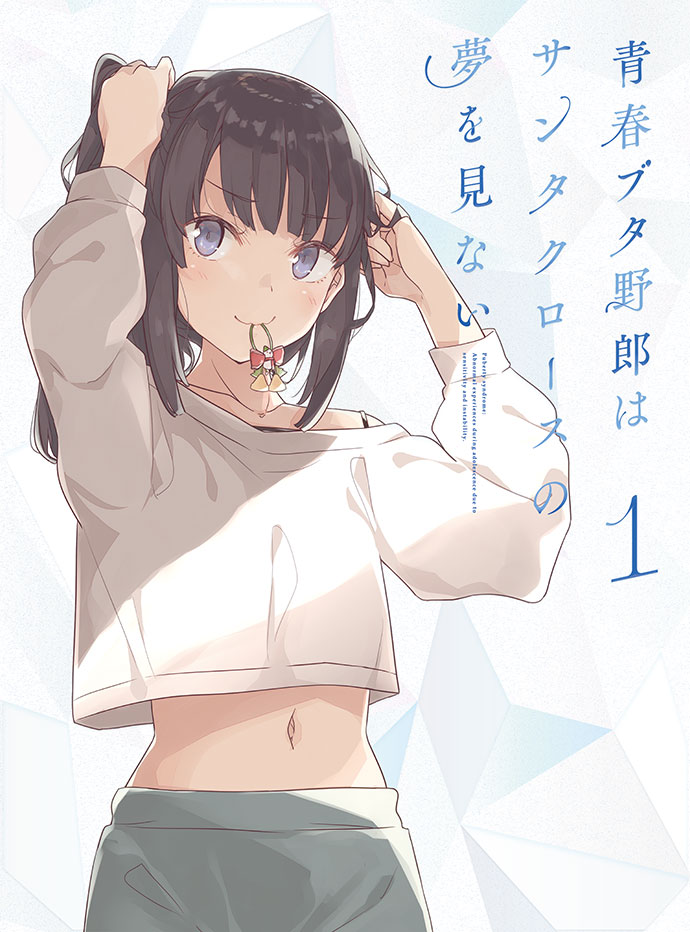 Blu-ray&DVD | 青春ブタ野郎はサンタクロースの夢を見ない