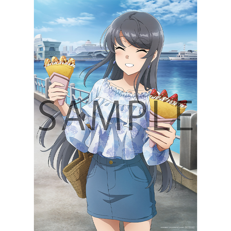 Blu-ray&DVD | 青春ブタ野郎はサンタクロースの夢を見ない