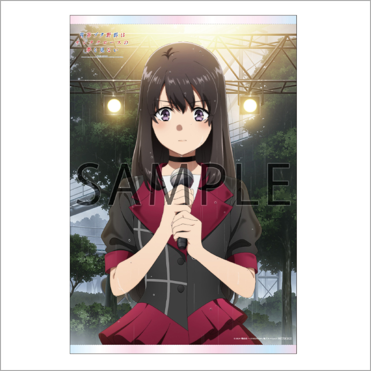 Blu-ray&DVD | 青春ブタ野郎はサンタクロースの夢を見ない