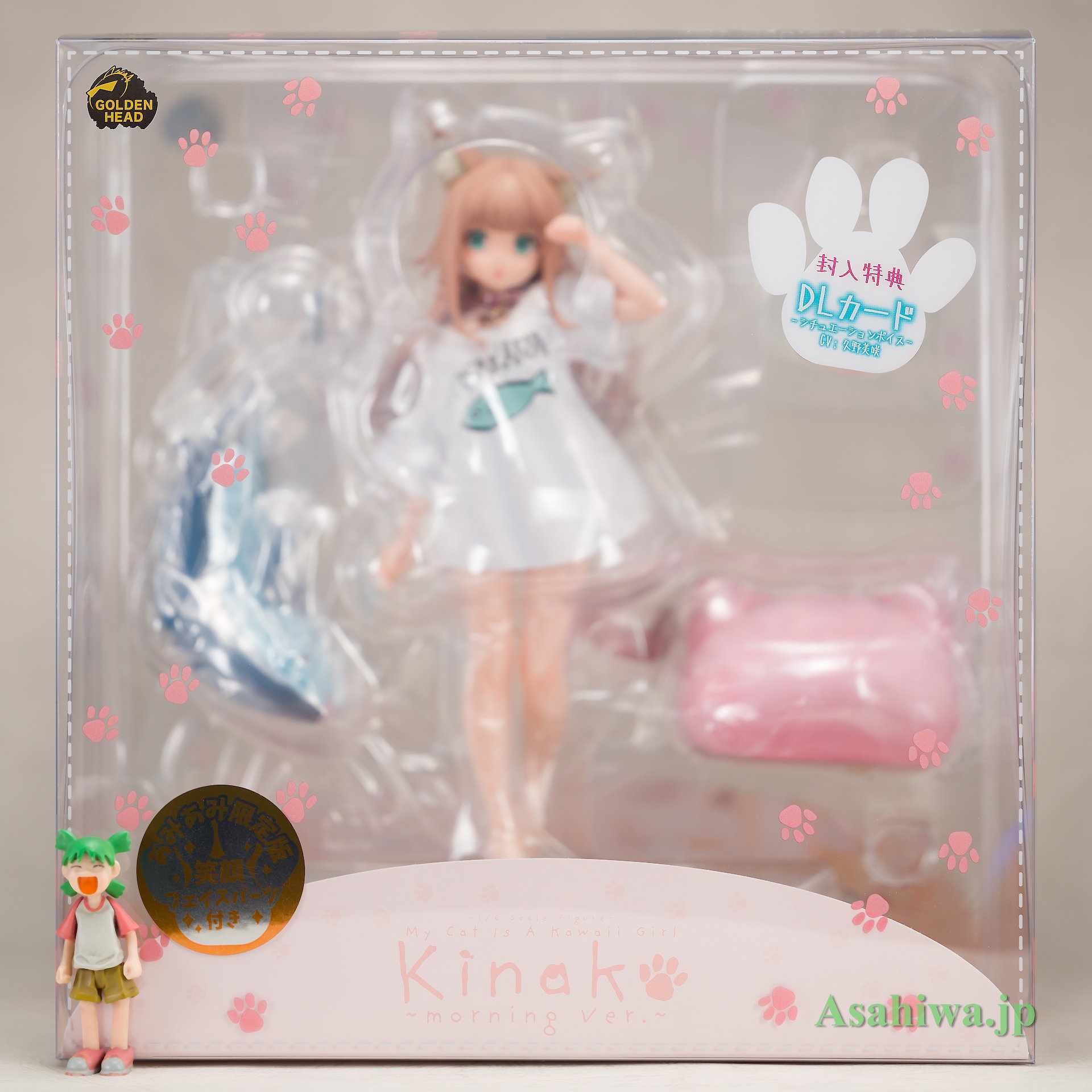 GOLDENHEAD きなこ ～おはようVer.～ あみあみ限定版 うちのねこが