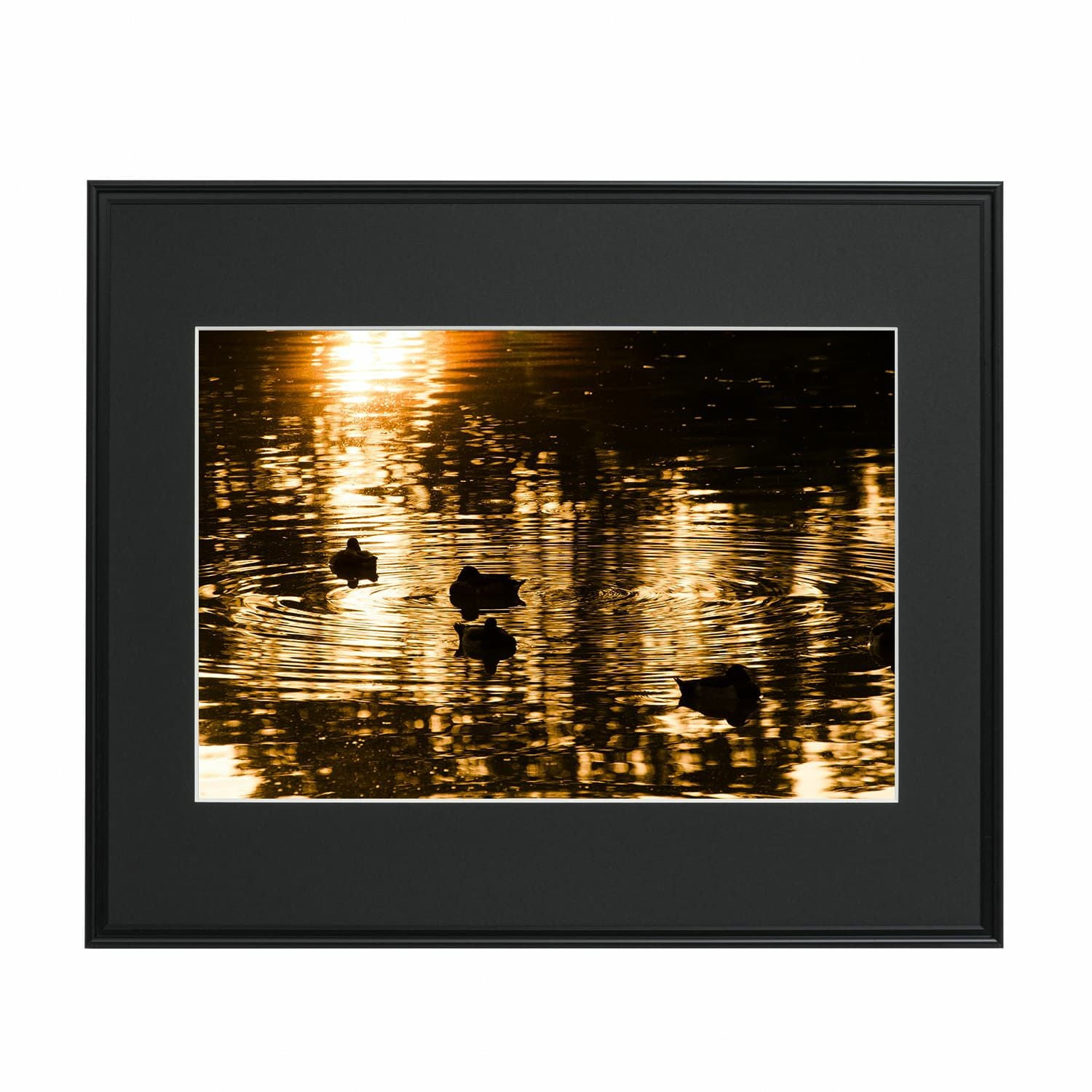 FUJICOLOR ワイドマットフレーム A3300 A3ノビ | アサヌマネットショップ