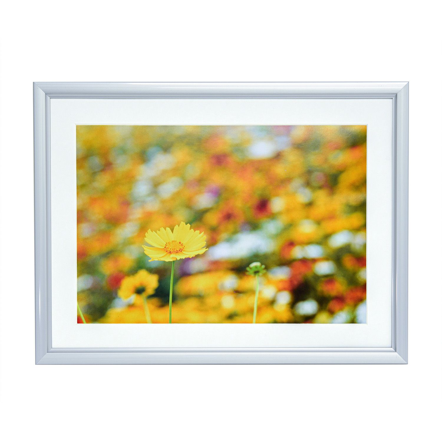 000000001574-01-xs.jpg?t=