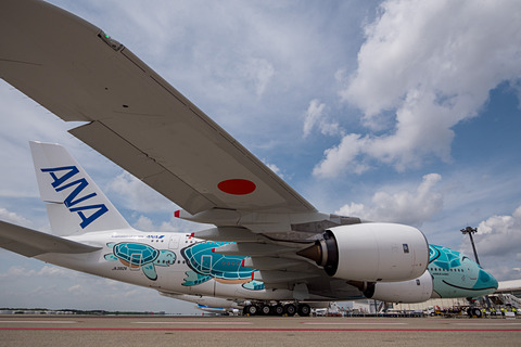 エメラルドグリーンの2号機が笑顔で成田に。ANAのエアバス A380型機
