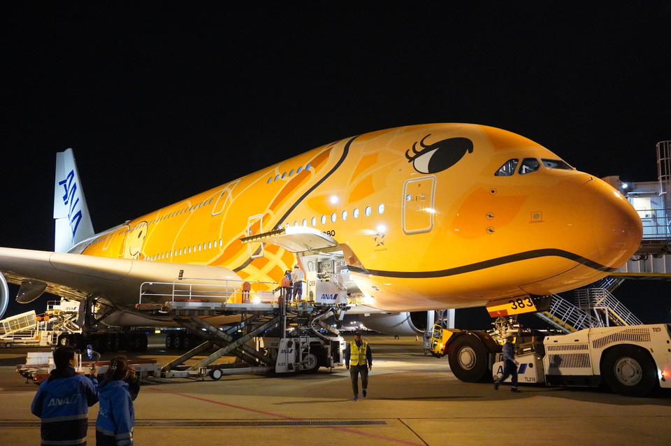 オレンジの“空飛ぶウミガメ”がホノルルへ出発！ ANAのエアバス A380型