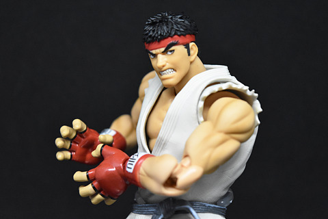 魂レビュー】自由度の高いポージングで波動拳から竜巻旋風脚まで思いの