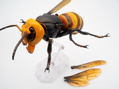 レビュー】自然が生む造形の美しさ！ 「REVO GEOオオスズメバチ