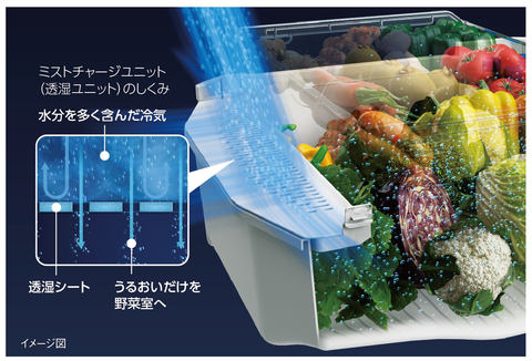 東芝、プラチナ触媒で“野菜の老化を抑制する”スマホ連携冷蔵庫