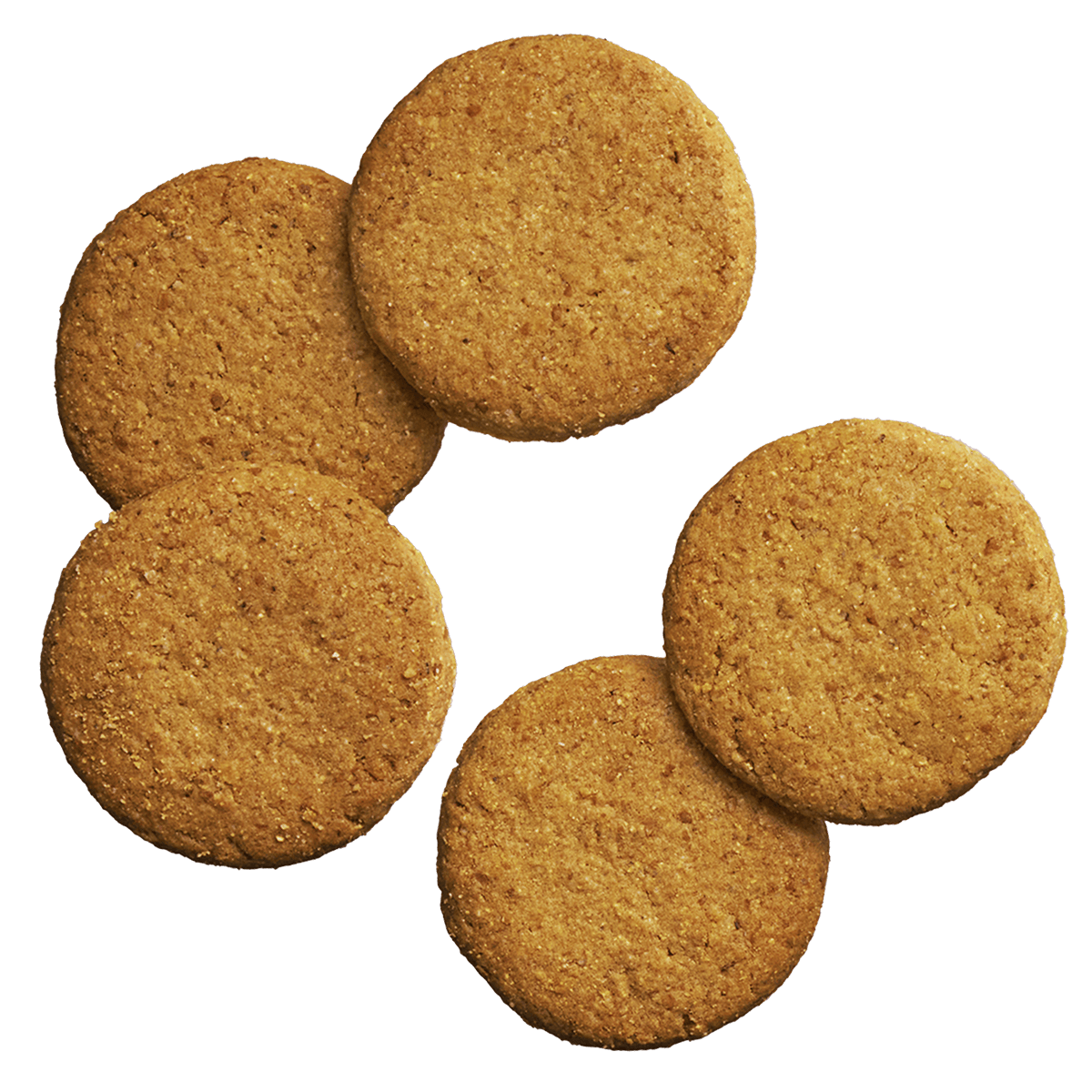 完全栄養食BASE Cookies（ベースクッキー） 完全栄養食 BASE FOOD