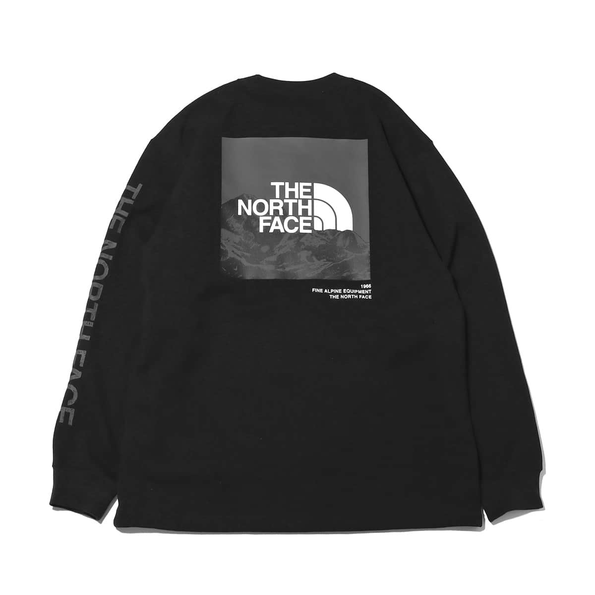 THE NORTH FACE L/S SLEEVE GRAPHIC TEE BLACK 23SS-I（ザ・ノース