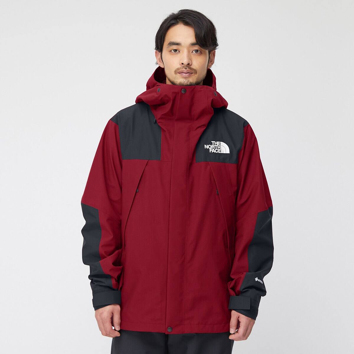 THE NORTH FACE MOUNTAIN JACKET コードバン 22FW-I（ザ・ノース