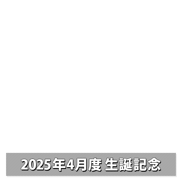 NMB48 OFFICIAL GOODS STORE