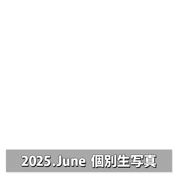 NMB48 OFFICIAL GOODS STORE