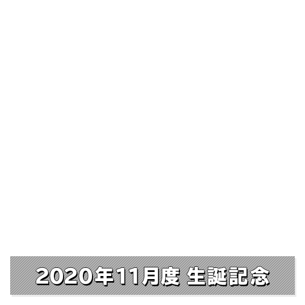 NMB48 OFFICIAL GOODS STORE