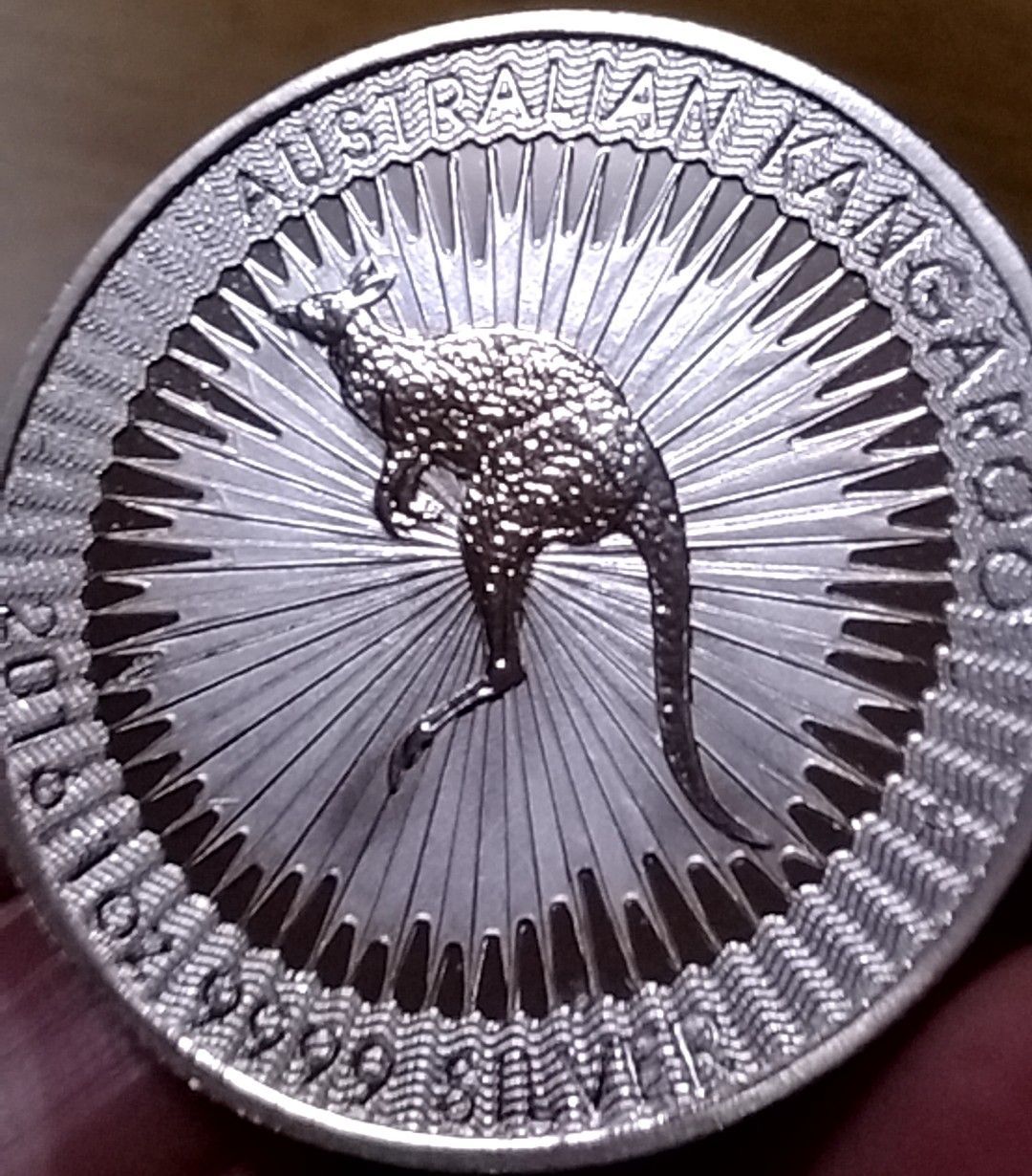 G495 オーストラリア カンガルー シルバー コイン 2016年 参考品