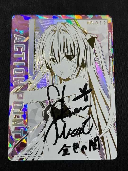 シリアル アクションポイントカード 金色の闇 こんじきのやみ AP