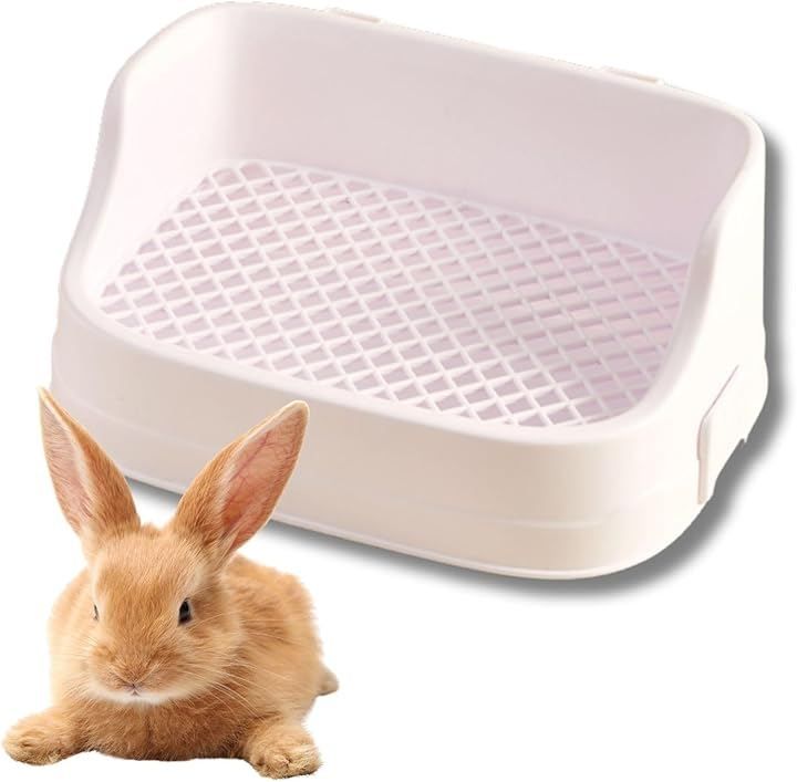 カオス ChaosTCG 世間知らず「風見みずほ」 PSA10 カオス ChaosTCG