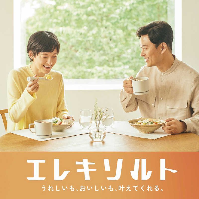 新品 未開封 】 キリンHD 減塩サポート食器 エレキソルト スプーン ES