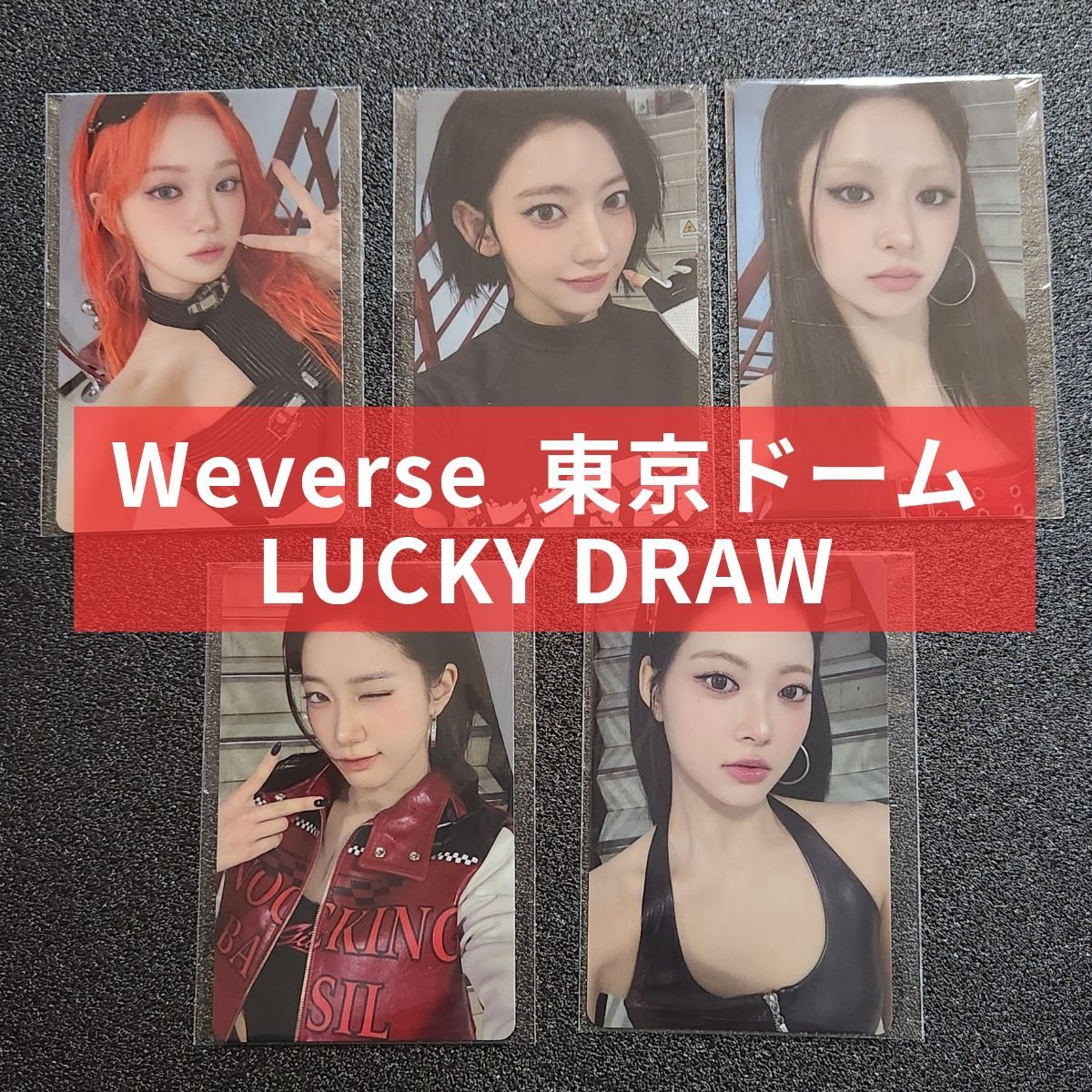 LE SSERAFIM 東京ドーム 会場限定 FC トレカ 5種コンプ S115811139