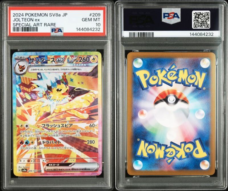 PSA10 ブイズSAR 10枚セット 200-224/187 SV8a テラスタルフェスex