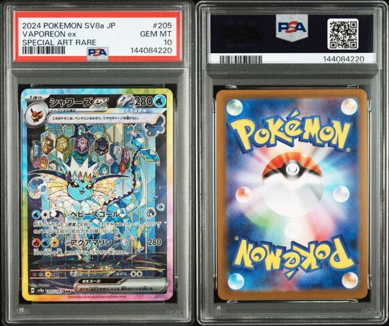 PSA10 ブイズSAR 10枚セット 200-224/187 SV8a テラスタルフェスex