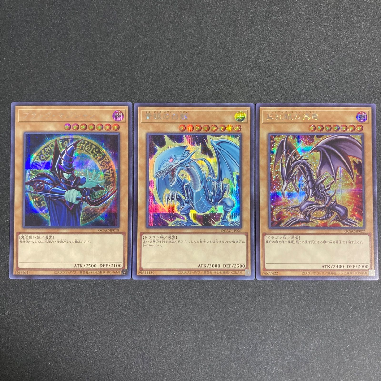 BF0224 遊戯王 OCG 原作絵 青眼の白龍 真紅眼の黒龍、ブラック