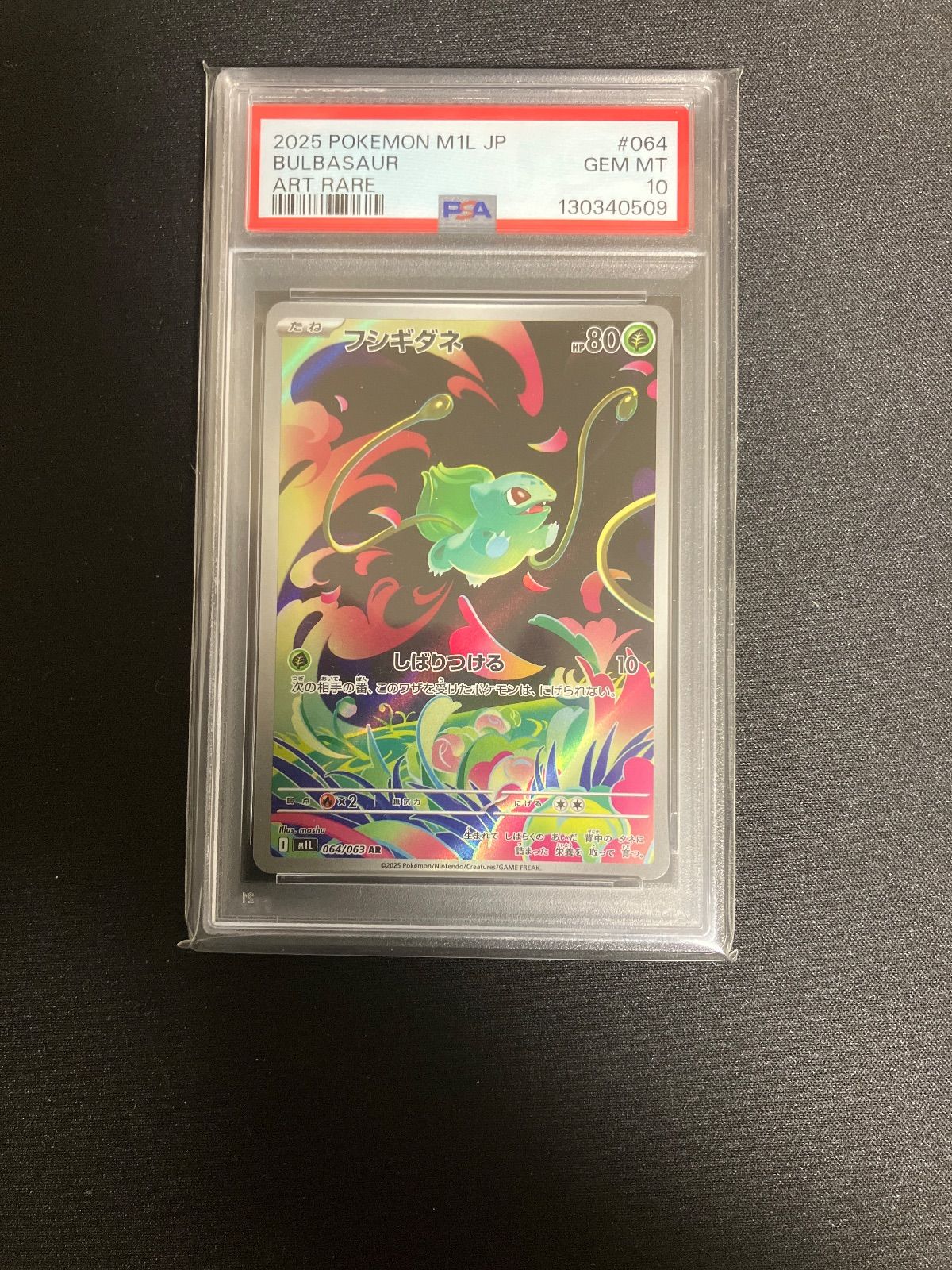 PSA10 3連番 フシギダネ 進化ライン - メルカリ