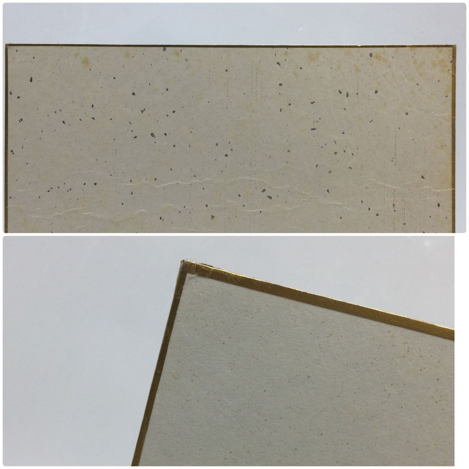 2249 【直筆サイン色紙】長州力 写真付き 新日本プロレス プロレスラー