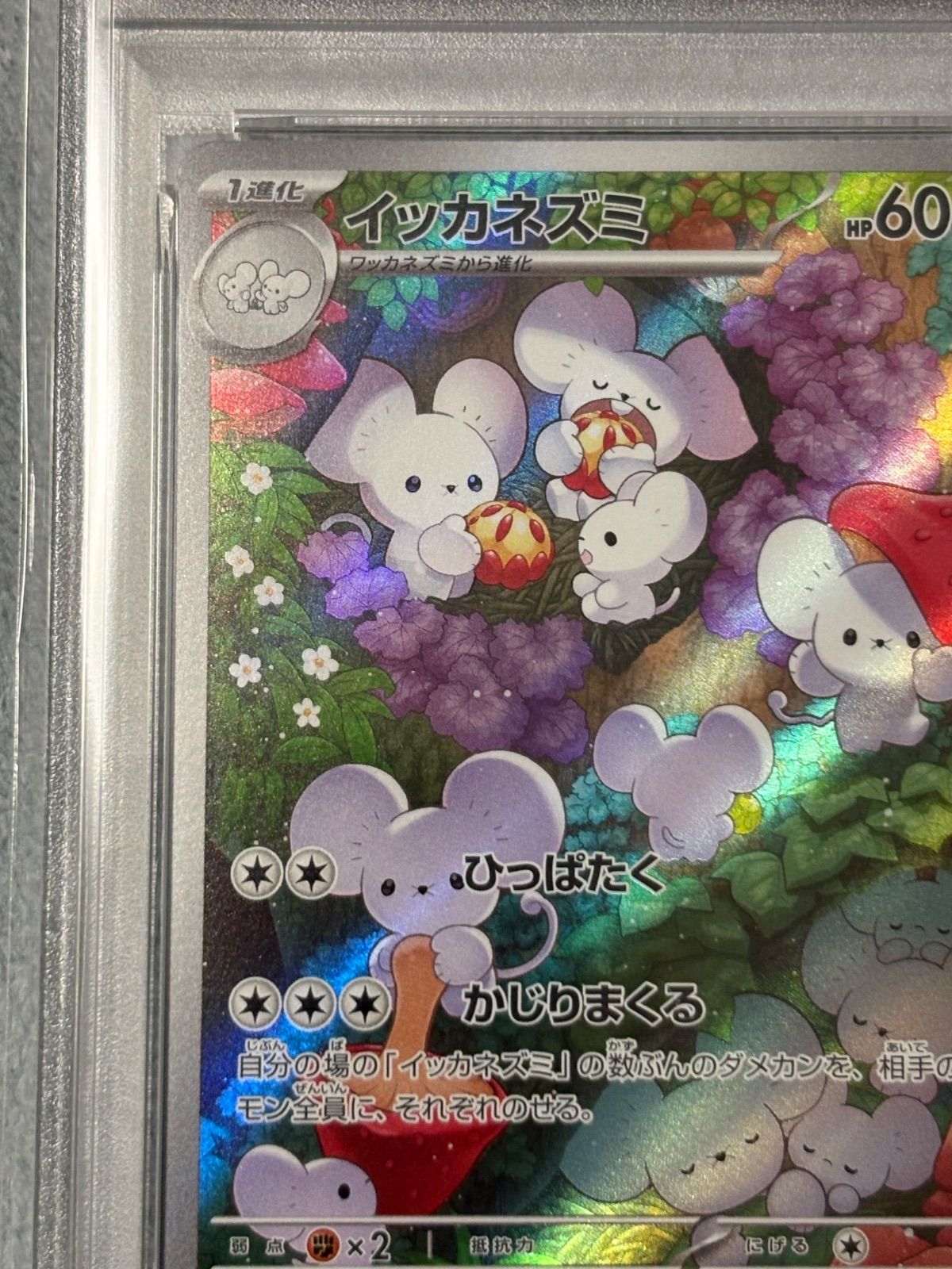 イッカネズミ AR PSA10 - メルカリ