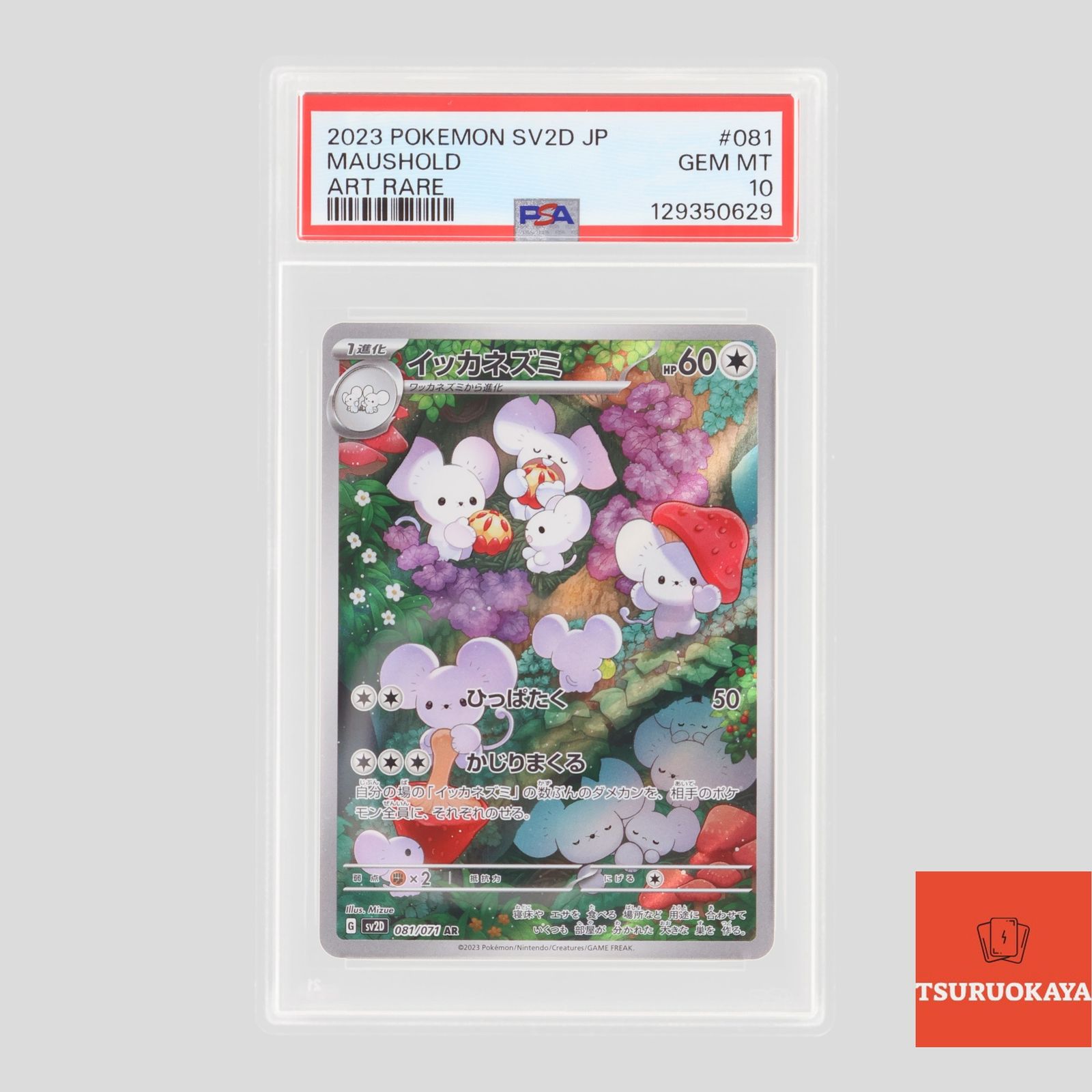 ポケモンカード イッカネズミ 081/071 SV2D 拡張パック クレイバースト
