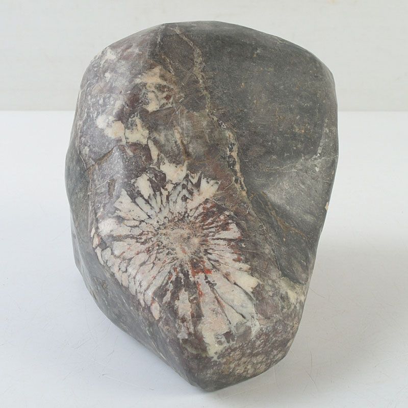 鑑賞石 天然石 菊花石 置物 重さ約2506g V S738 - メルカリ