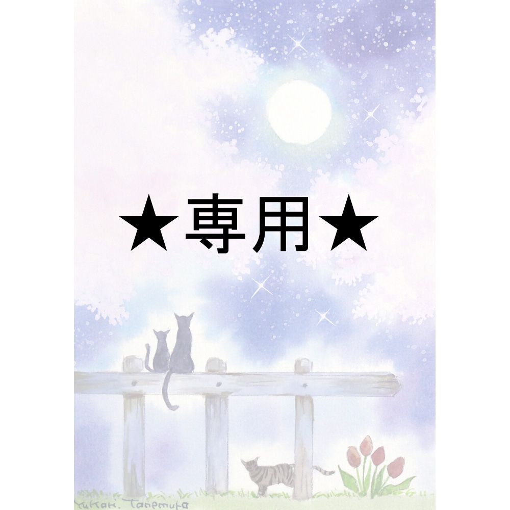 RUKURUKUさま専用（原画）月下の夜桜鑑賞【2Lサイズ／水彩画／#3093a