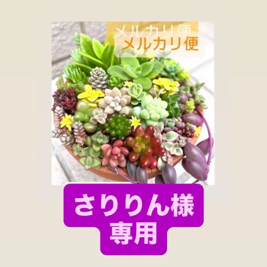 さりりん様専用 - メルカリ