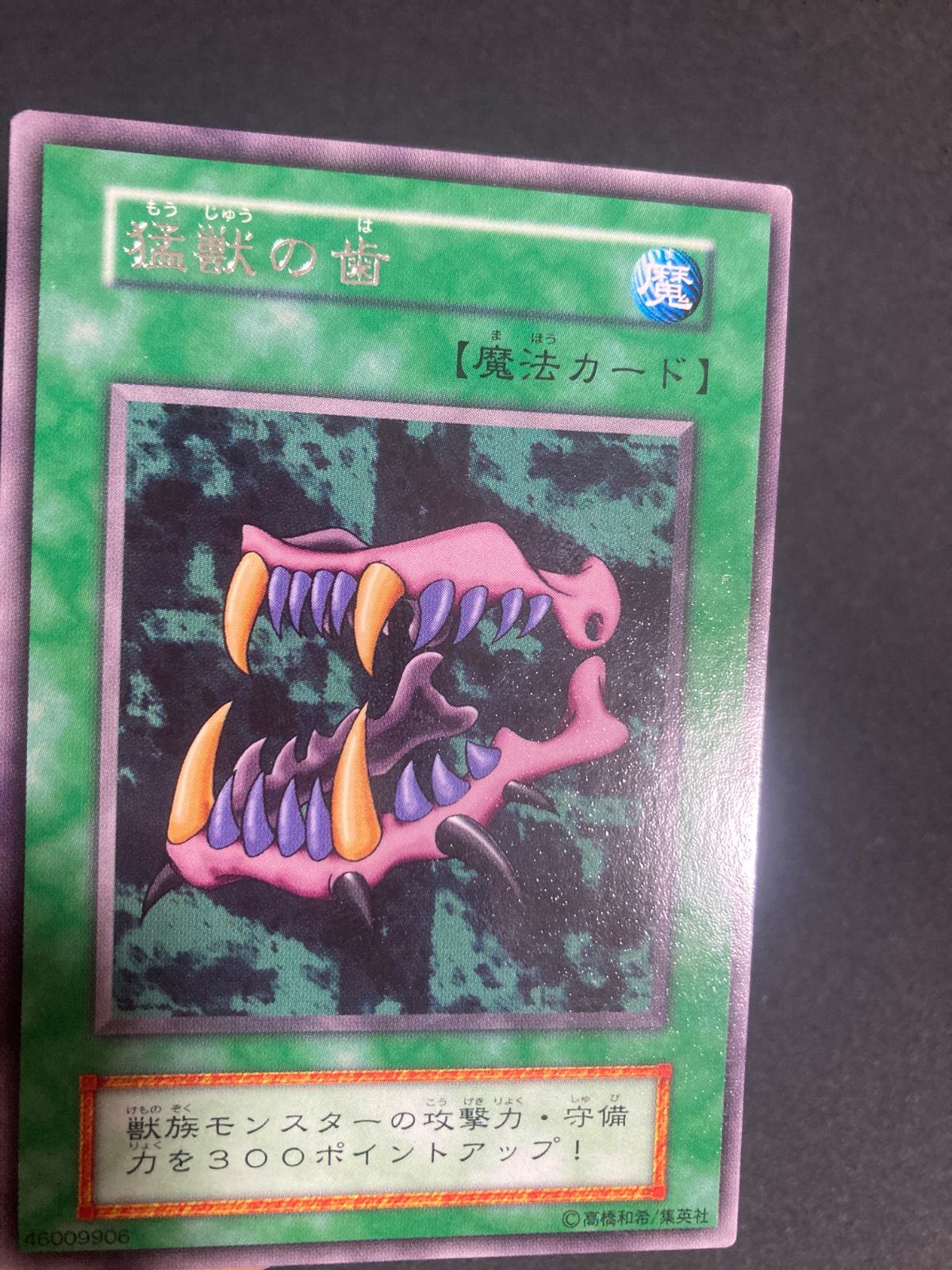 BF0304 遊戯王 猛獣の歯 初期 ブースター 字レア - メルカリ