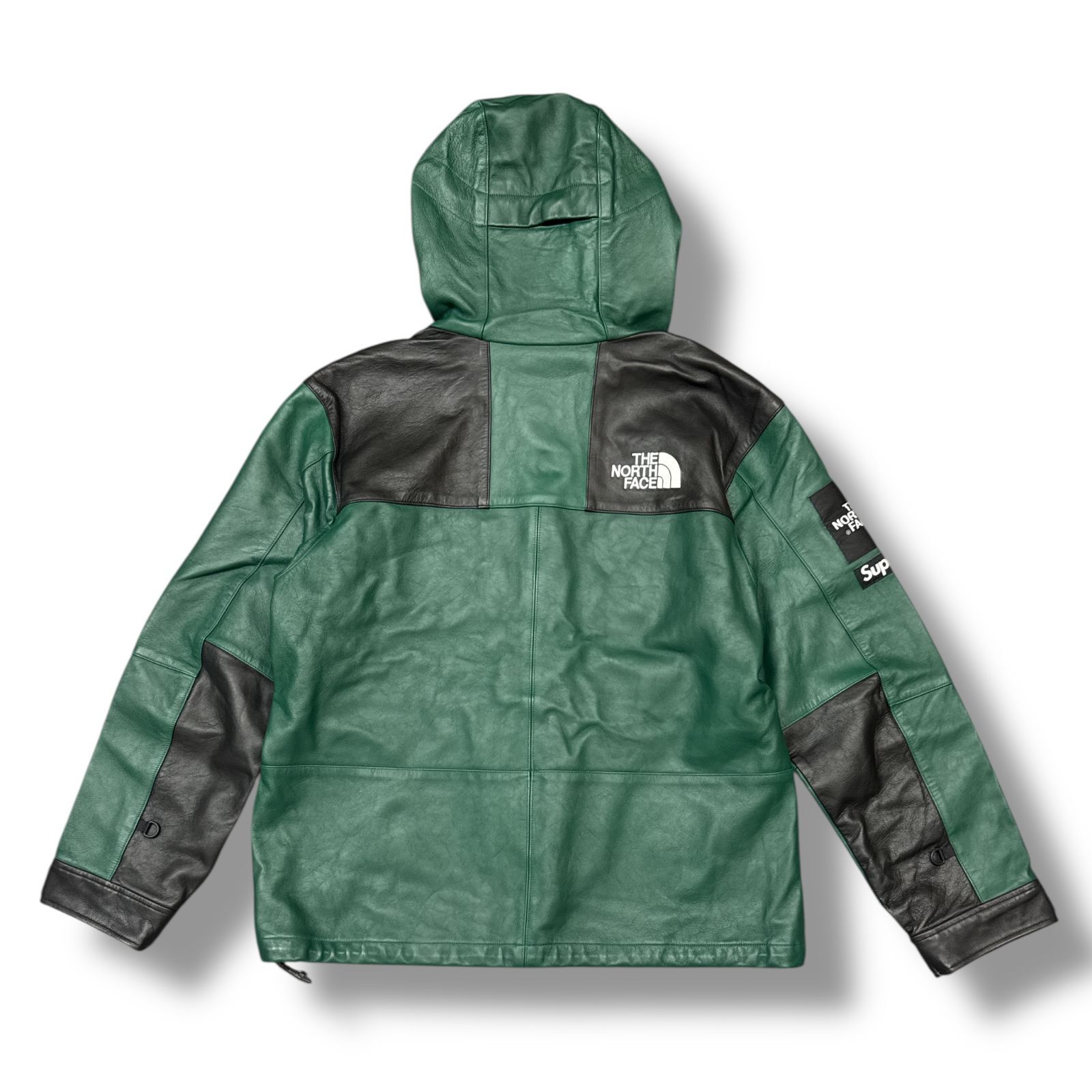 Supreme × THE NORTH FACE 18AW Leather Mountain Parka レザー