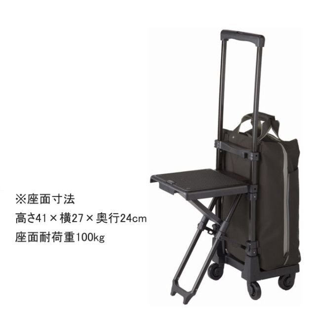 SWANY スワニー 座れる キャリーバッグ 新型 D-639 プレーネ 座面付