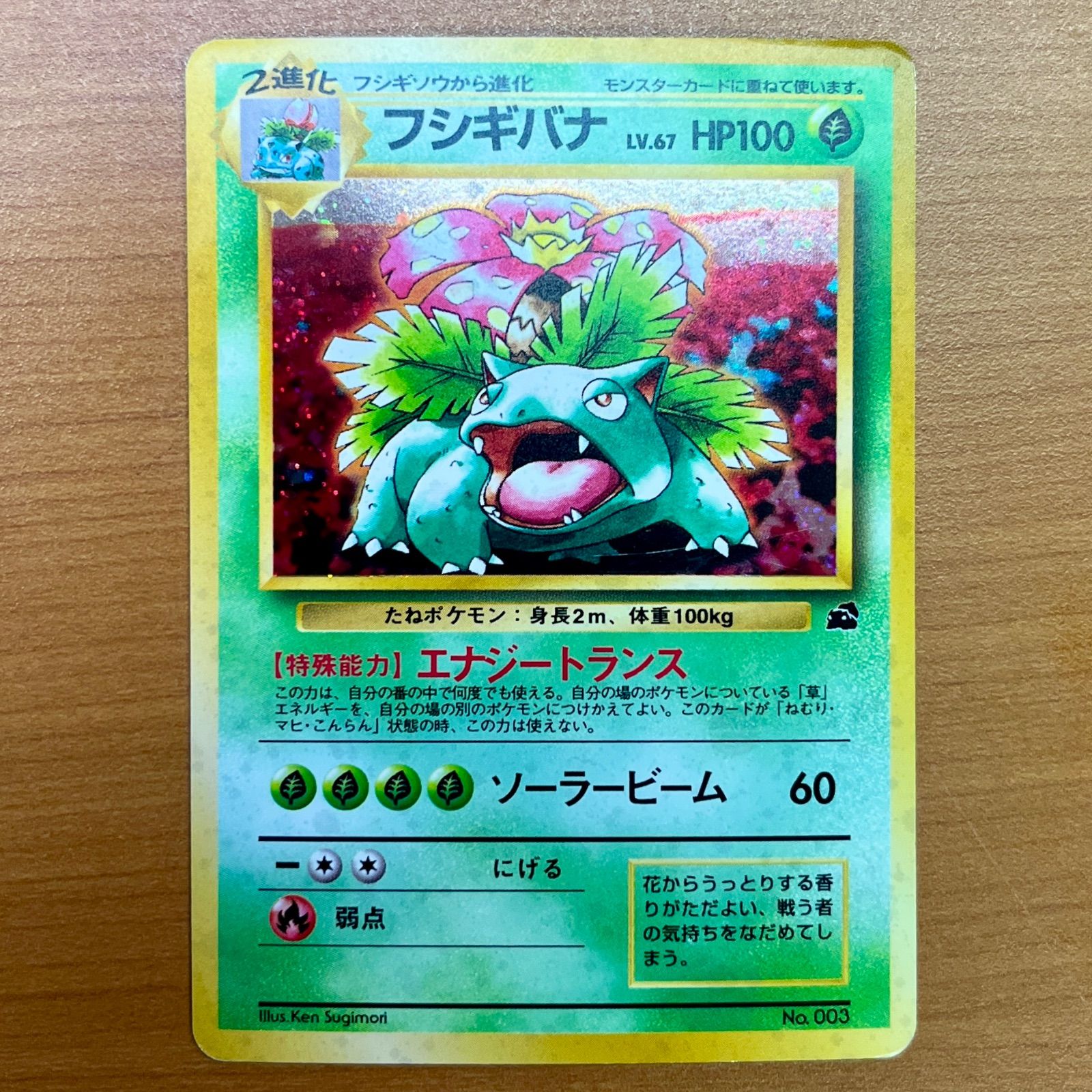 状態C フシギバナ 旧裏 ホロ No.003 LV.67 イントロパック OPI