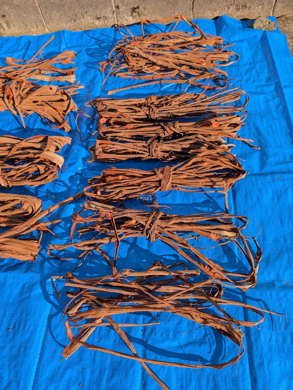 天然山葡萄の蔓3 採集状態で保存2.0キロ令和2年採取 - メルカリ