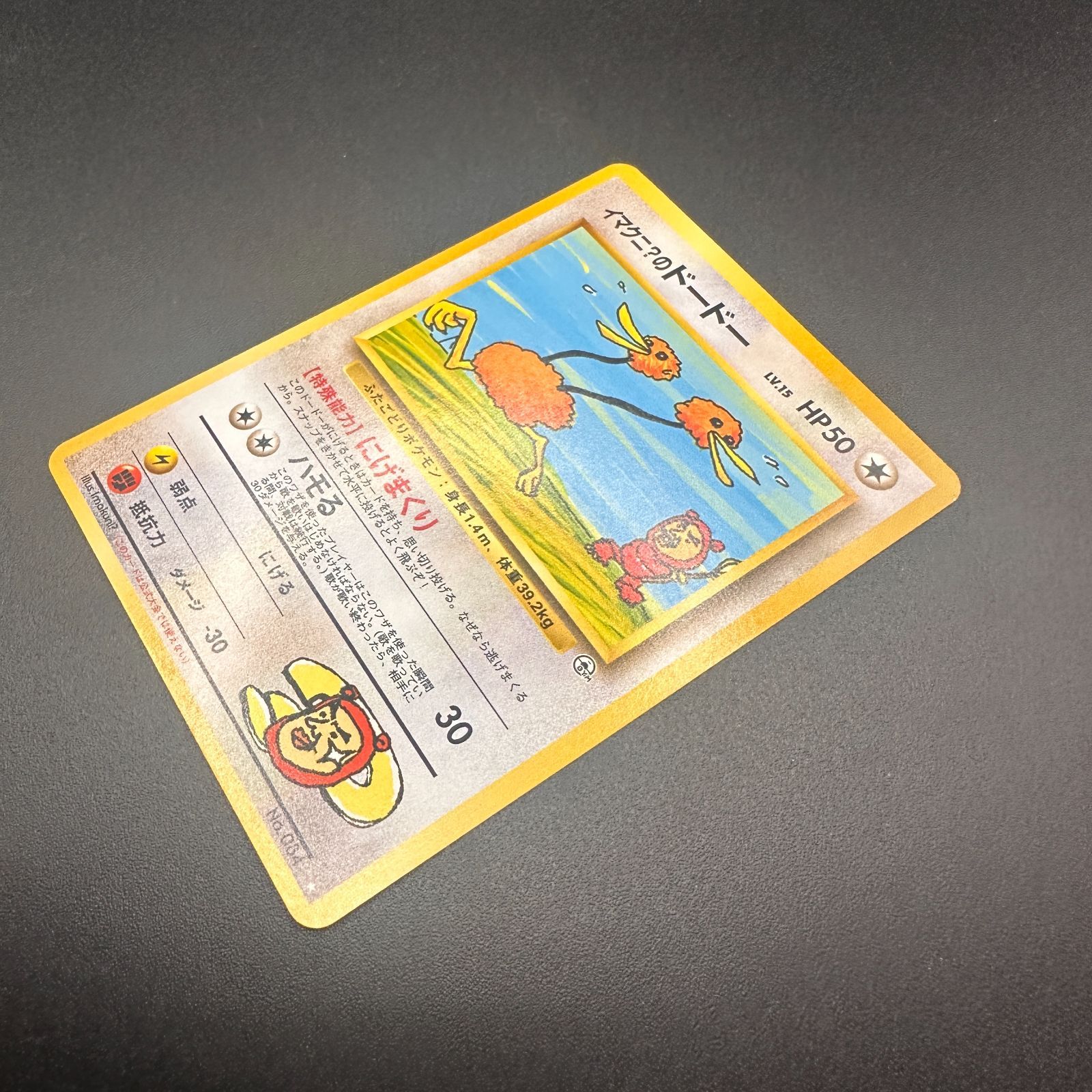 イマクニ？のドードー ジム拡張第2弾「闇からの挑戦」 LV15 No084