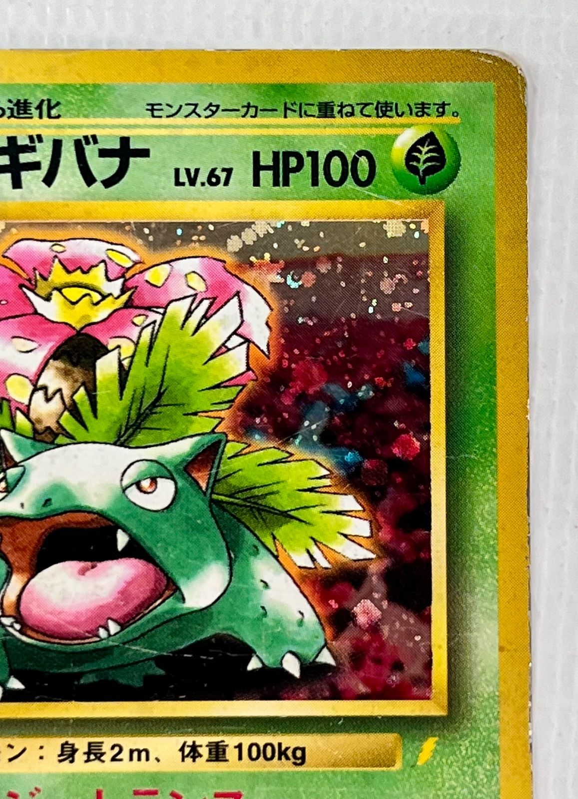 ○ ポケモンカード 旧裏 ☆ キラカード フシギバナ Lv.67HP100 No.003