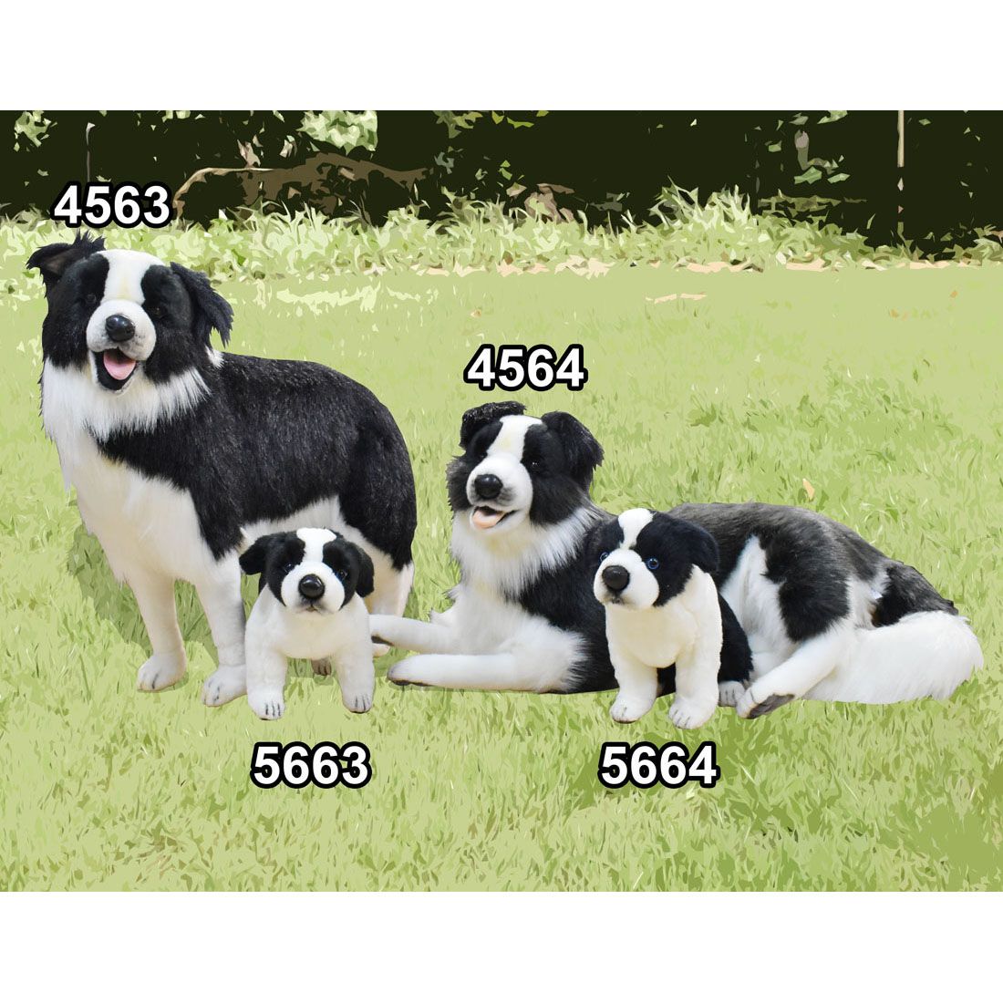 HANSA ボーダーコリー118 76(cm) 4564 ぬいぐるみ ハンサ コリー犬